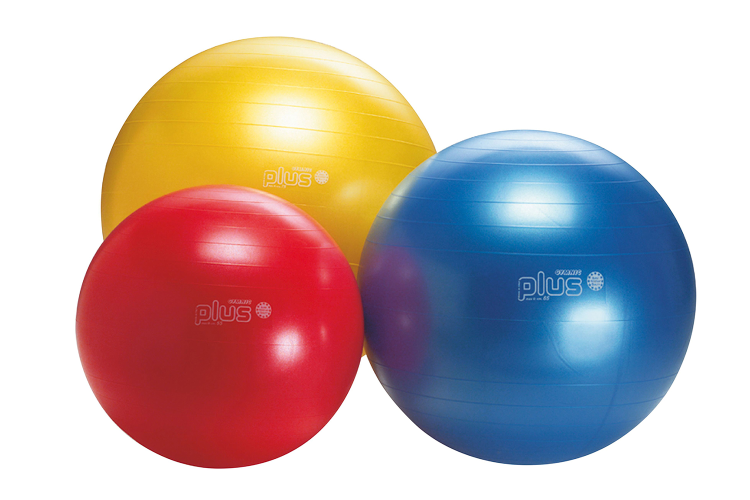 World Pilates Fit Ball Gymnic Classic Plus